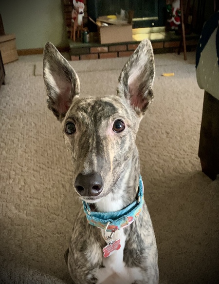 Maggie