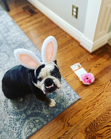 Rosie Rexing 