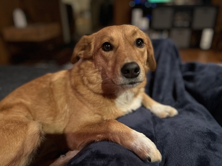 Winifred “Winnie” Penelope 