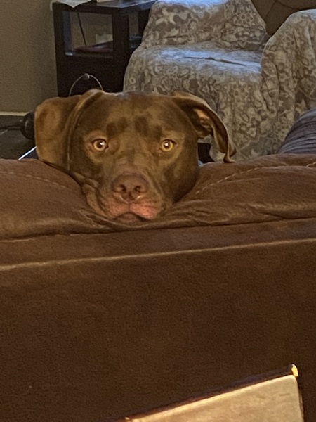 Hershey