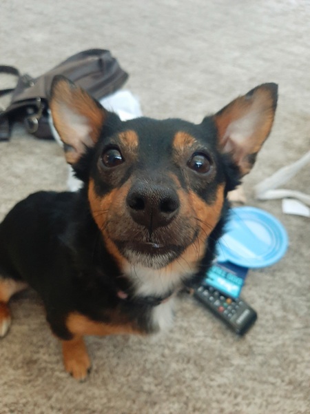 Reggie