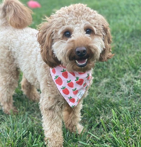 Ellie