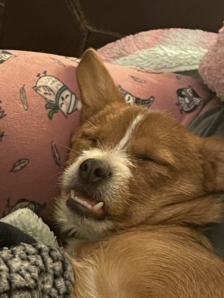 Finnegan 