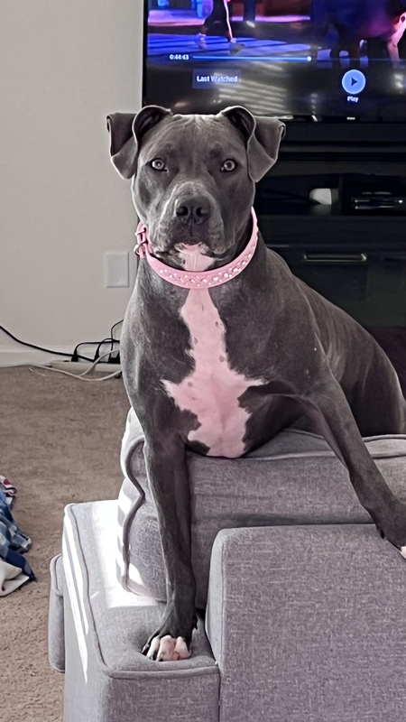 Riley