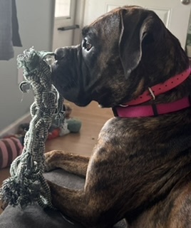 Lulu