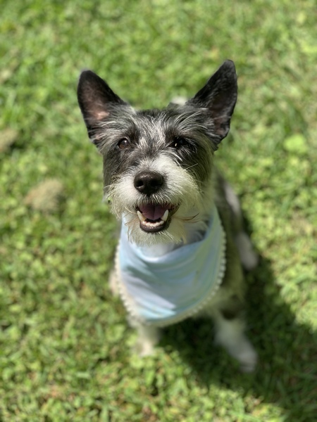 Bella 