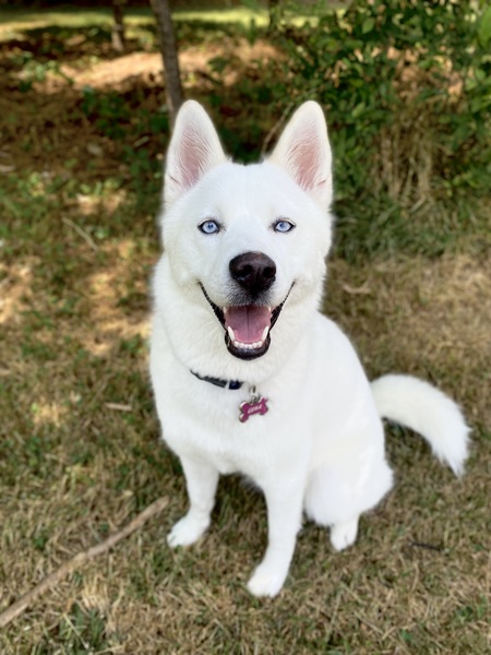 Luna 