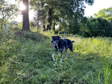 Marley