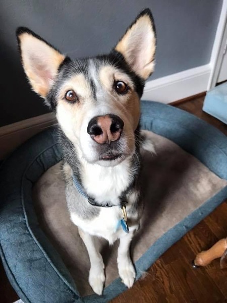 Kaya