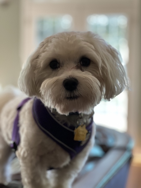 Theodore Quick “Teddy”