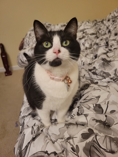 Kiki