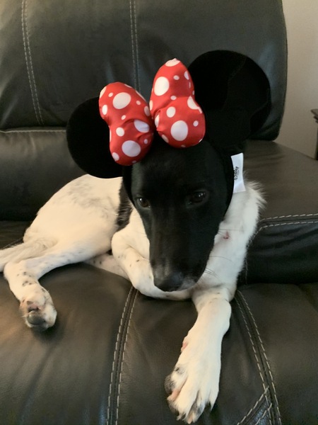 Penny