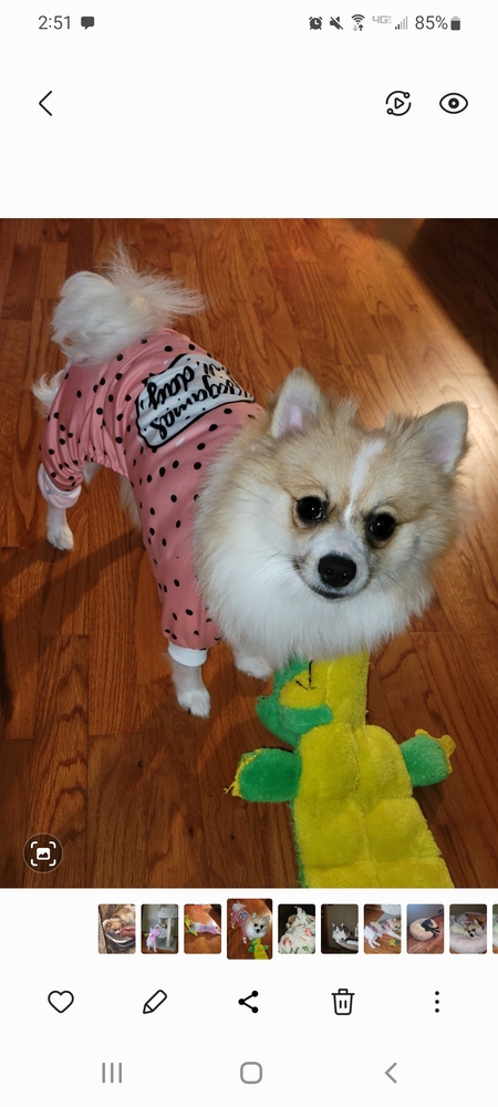Penelope Sue 