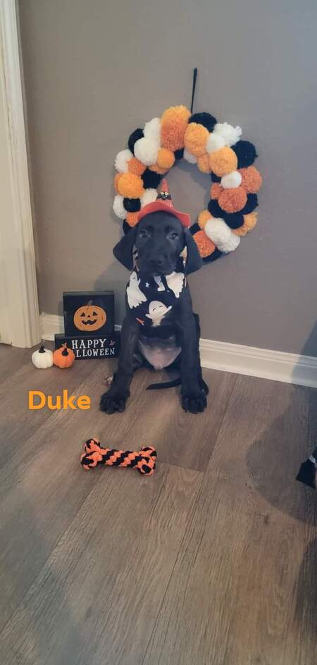 Duke