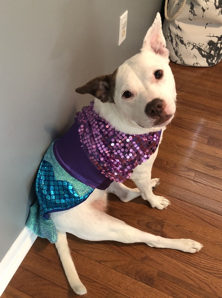 Penny