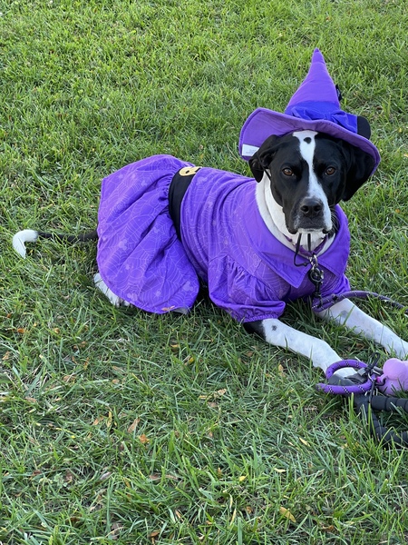 Josie 