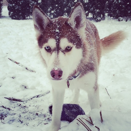 Luna