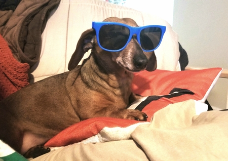 Zoey