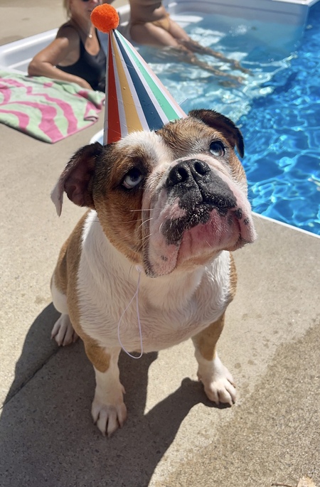 Penelope “P”