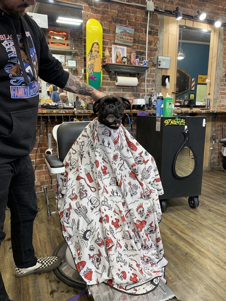 Pepper