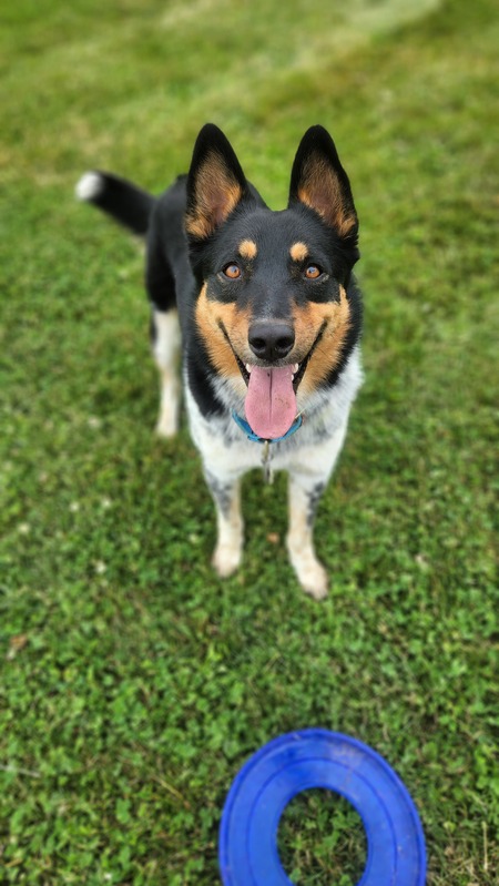 Andretti