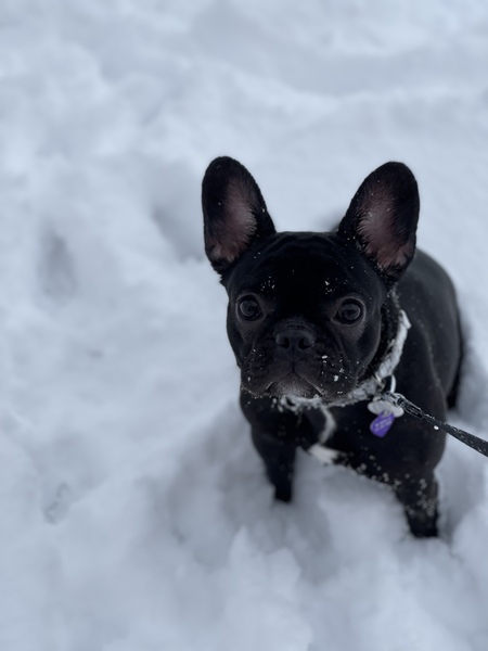 Winnie