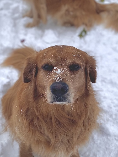 Charlie 