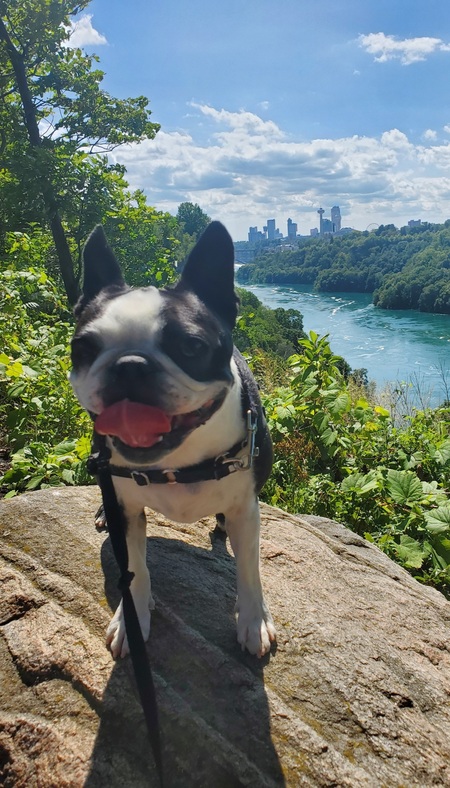 Ella