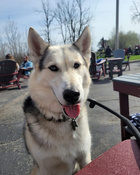 Thor