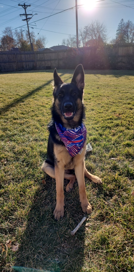 Nala