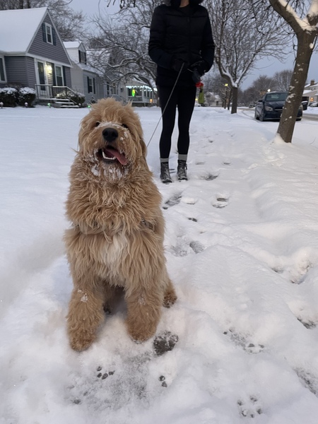 Winston