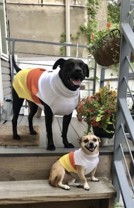Lola and Molly
