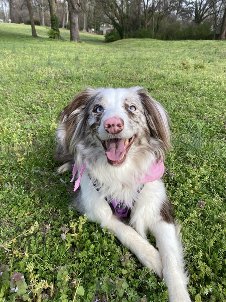 Luna