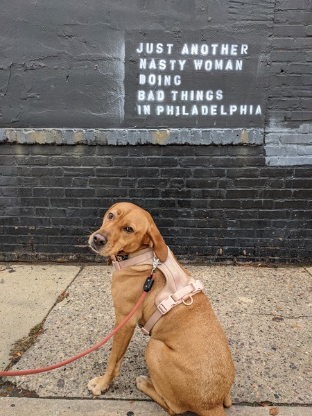 Riley