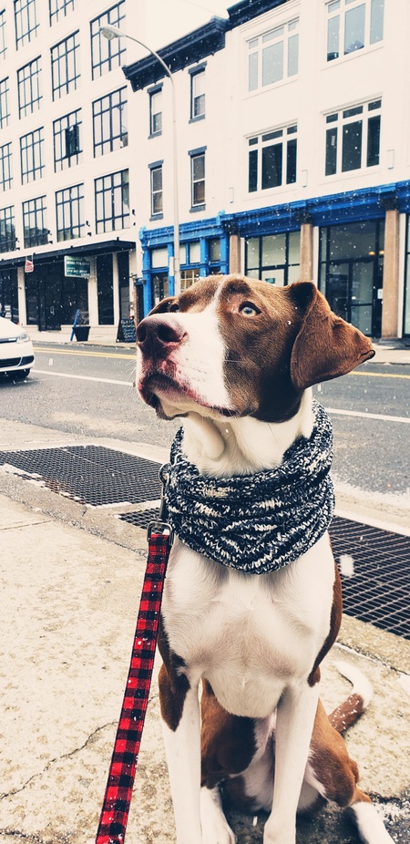 Nash