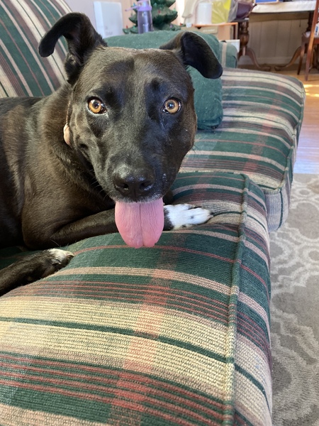 Maggie