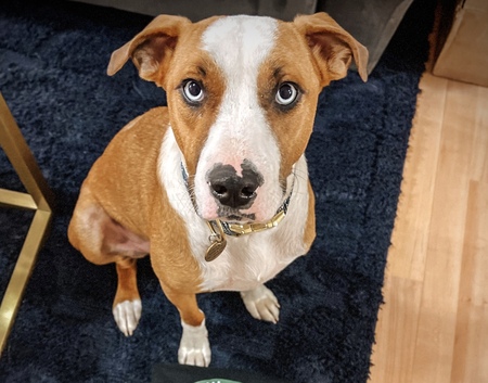 Odin