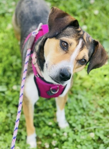 Lilly