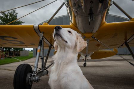 Rudder 