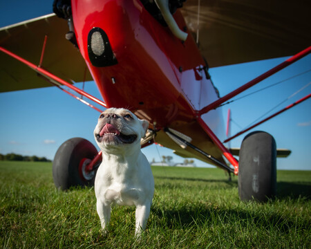 Jetson 