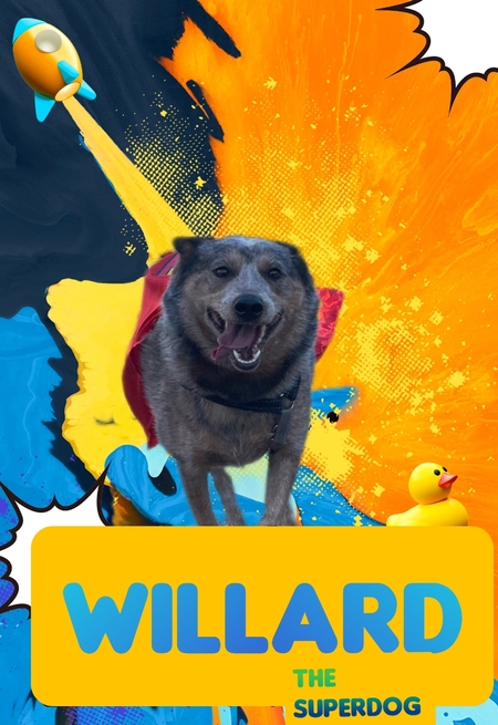 Willard