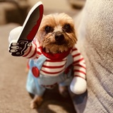Entry image for Bailee
