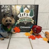 Entry image for Piper