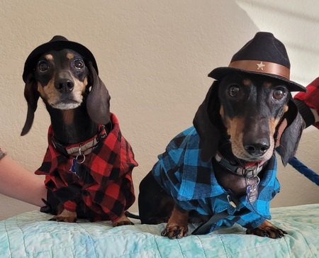Entry image for Barney and Fred . Clicking this image will show a larger photo