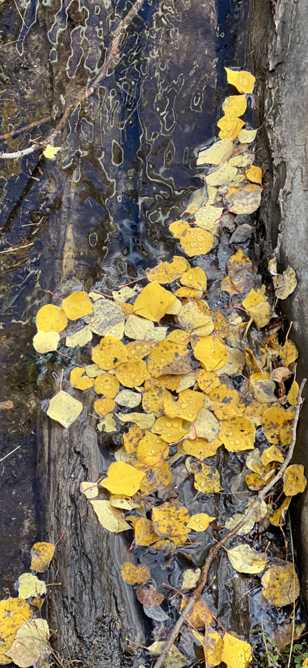 Gold on Crystal 