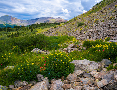 High Flower Garden