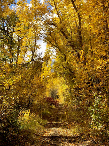 FALL ON THE LITTLE ARKANSAS