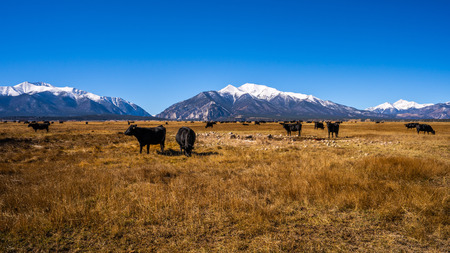 Ranchland and 14ers