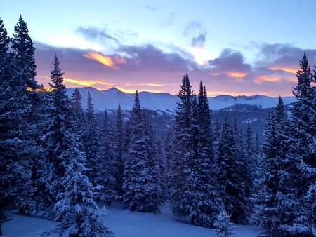 Winter Splendor