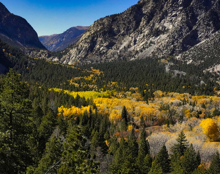 A River of Autumn Glory